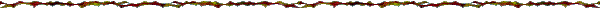 [  ]